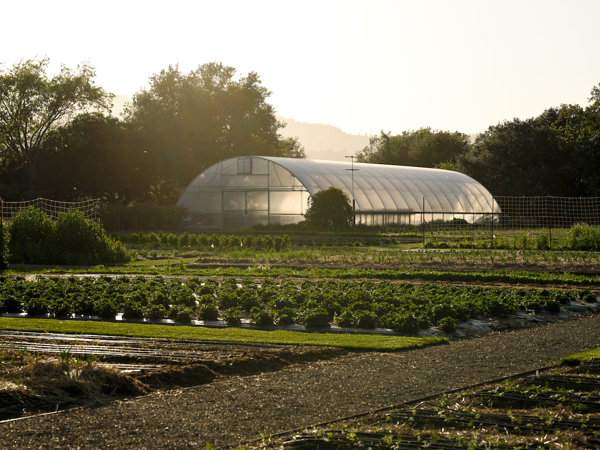 Culinary Garden Tours